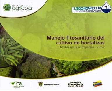 Manejo Fitosanitario del cultivo de hortalizas
