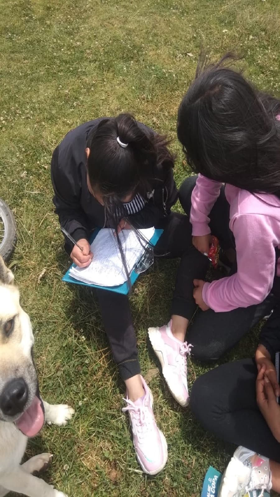 Imagen 32 de Sentencias Represa La Copa