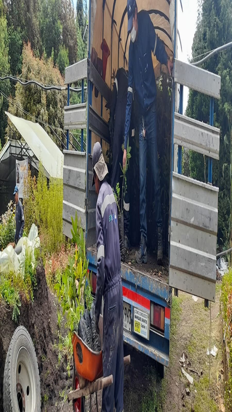 Imagen 2 de Siembra y Divulgaciones Represa La Copa