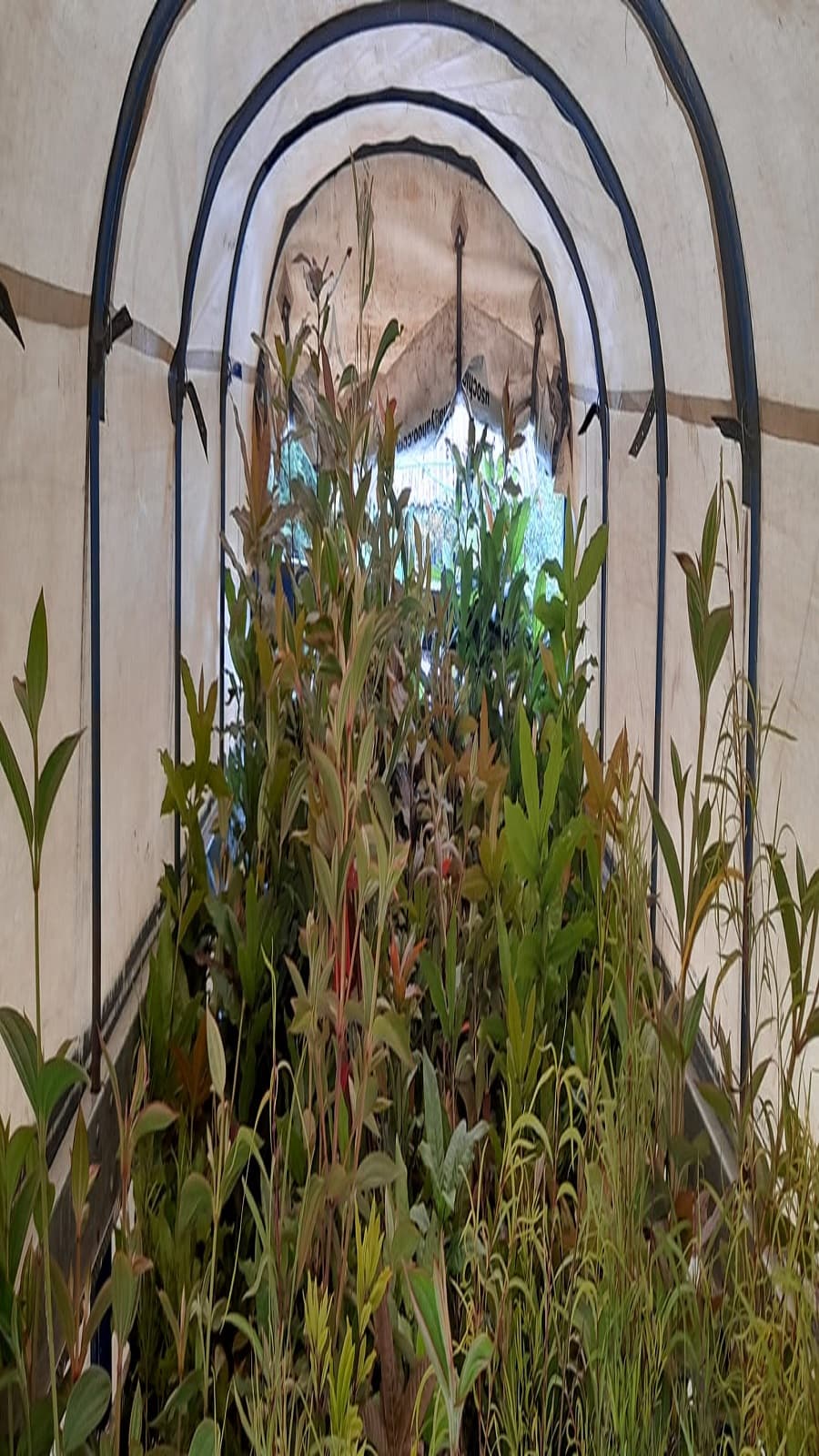 Imagen 3 de Siembra y Divulgaciones Represa La Copa