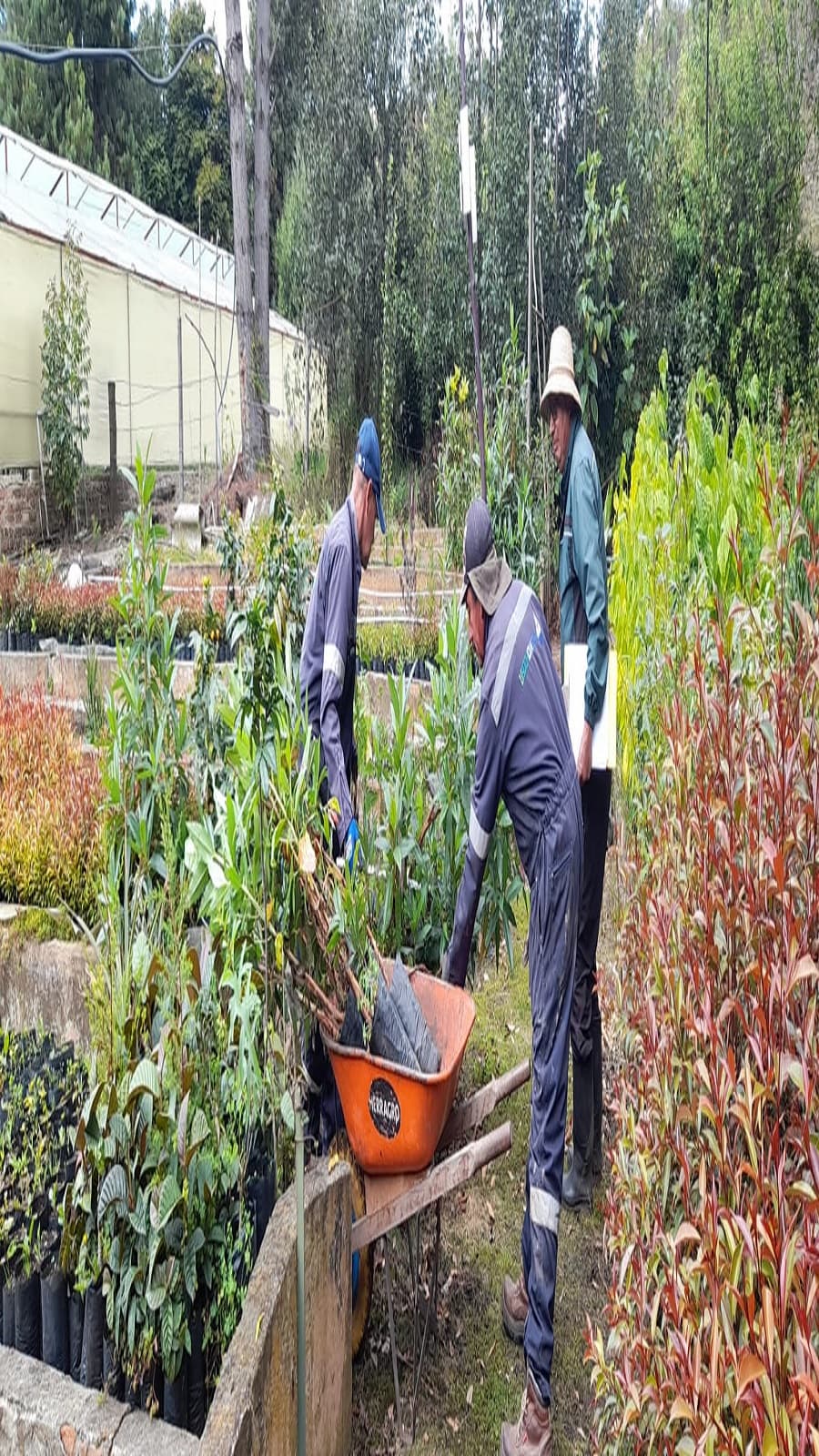 Imagen 5 de Siembra y Divulgaciones Represa La Copa