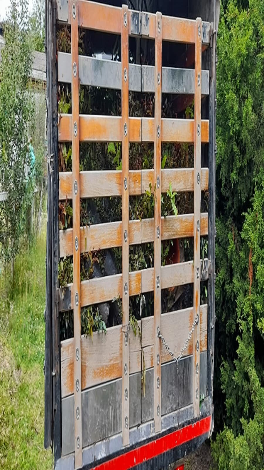 Imagen 6 de Siembra y Divulgaciones Represa La Copa