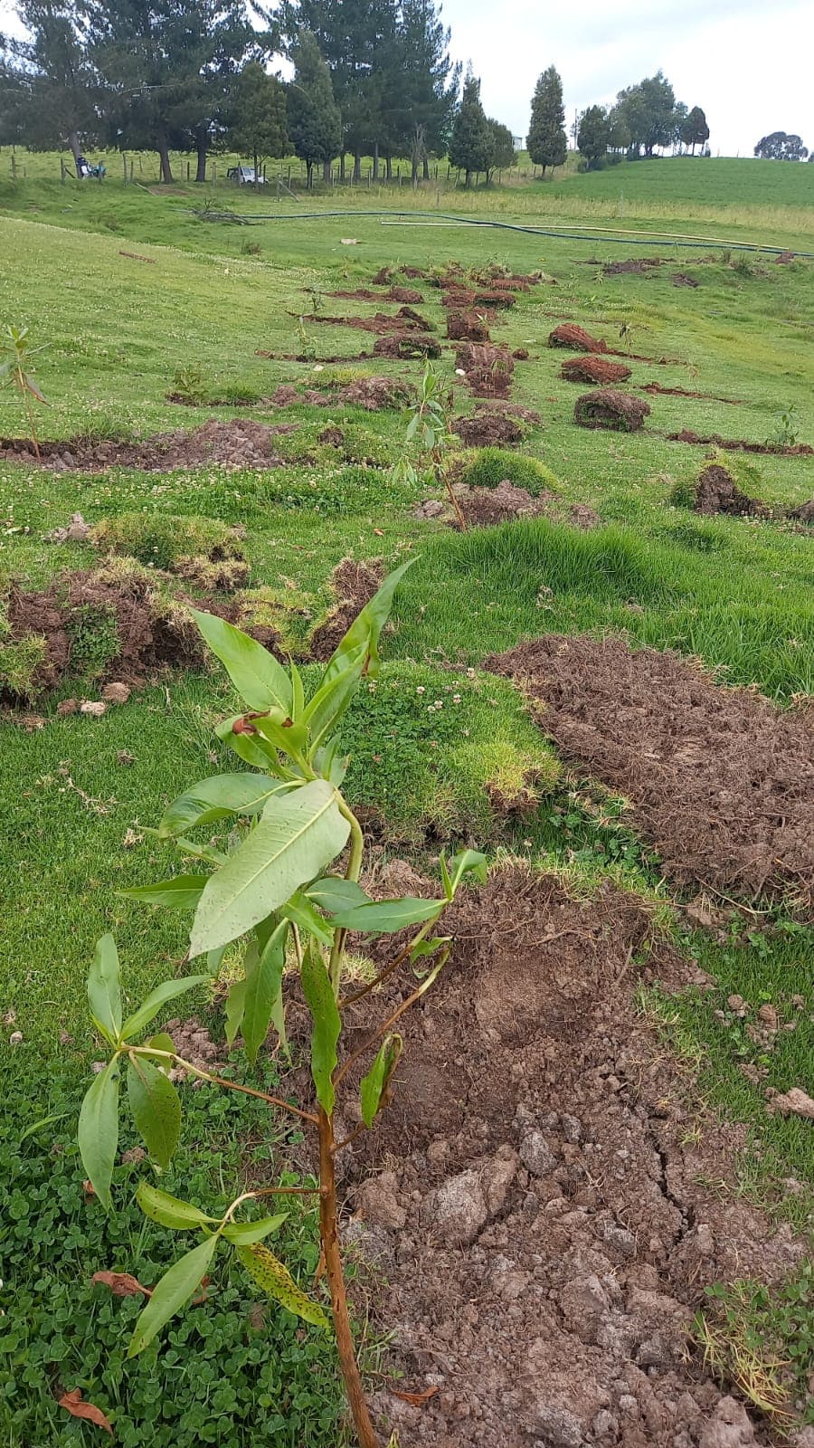 Imagen 11 de Siembra y Divulgaciones Represa La Copa