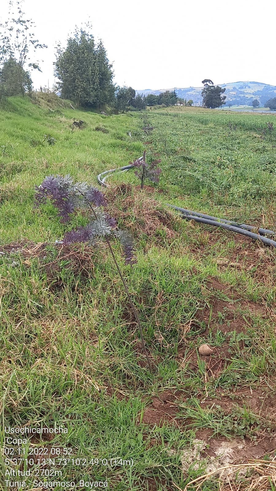 Imagen 12 de Siembra y Divulgaciones Represa La Copa
