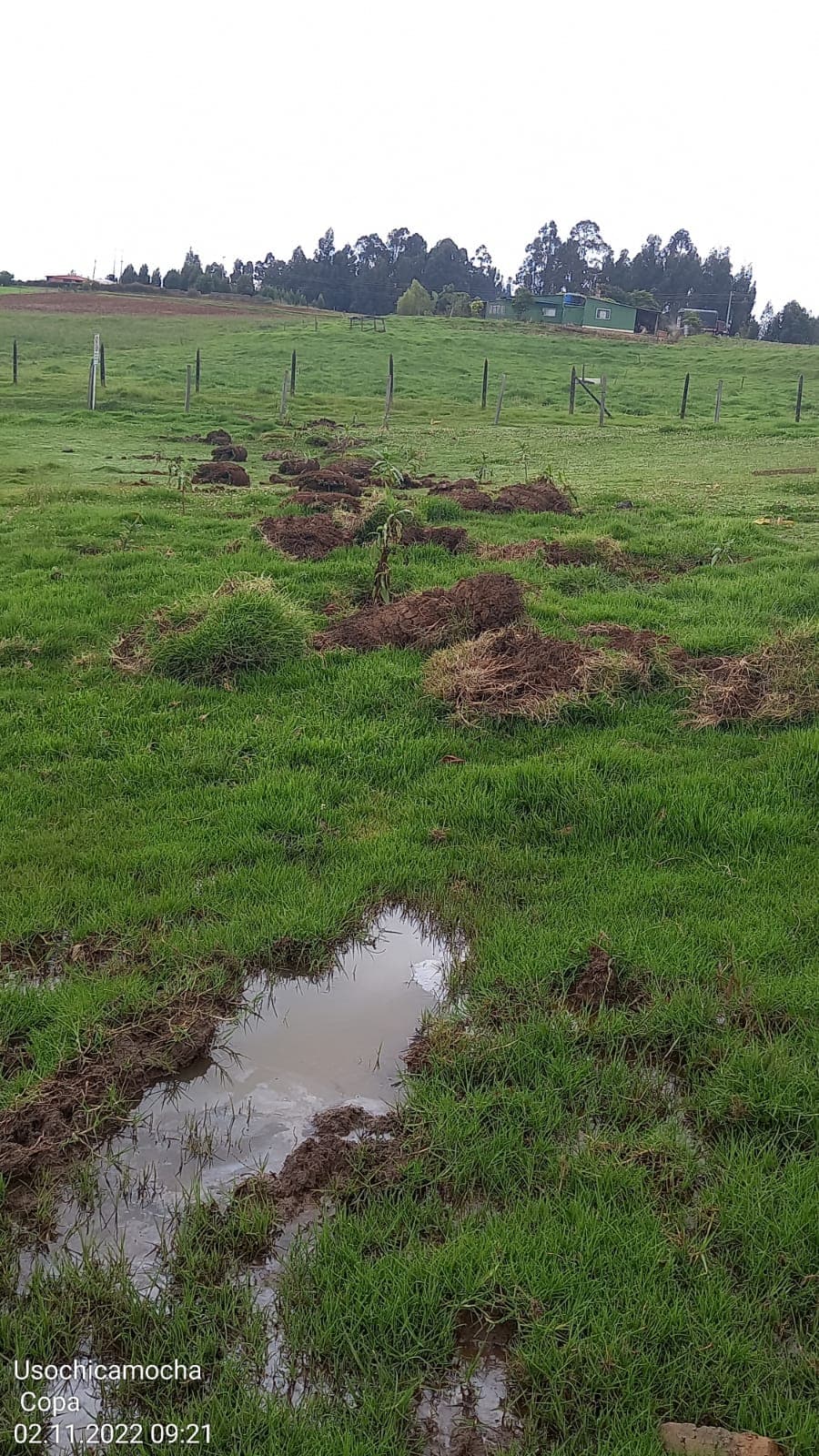 Imagen 13 de Siembra y Divulgaciones Represa La Copa