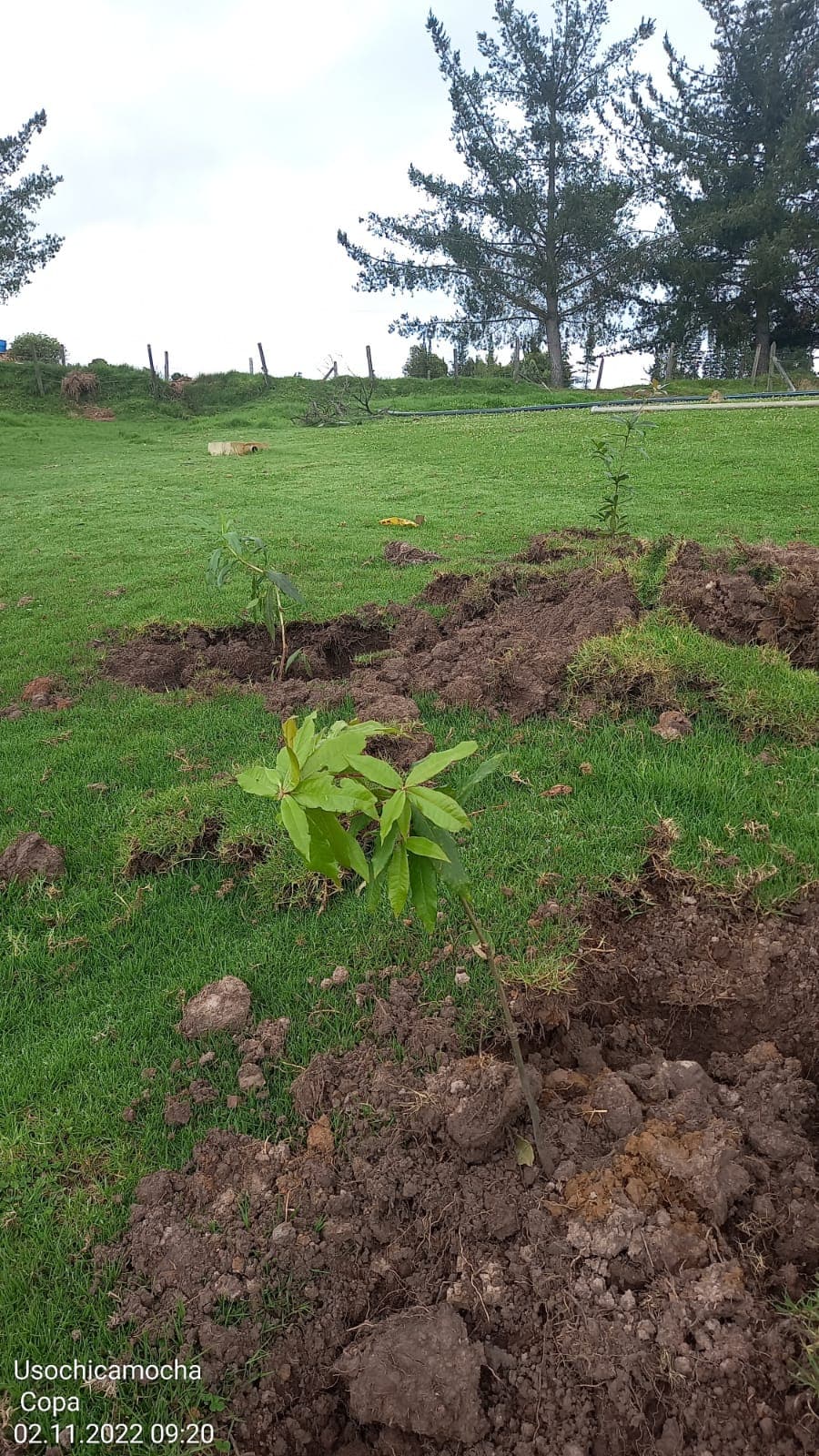 Imagen 17 de Siembra y Divulgaciones Represa La Copa