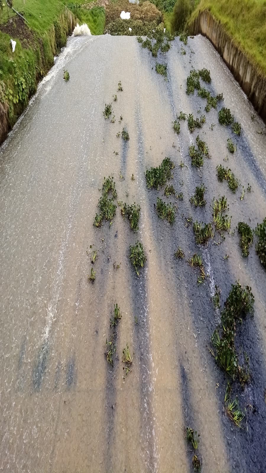 Imagen 23 de Sentencias Represa La Playa