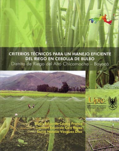 Criterios técnicos para un manejo eficiente del riego en cebolla de bulbo